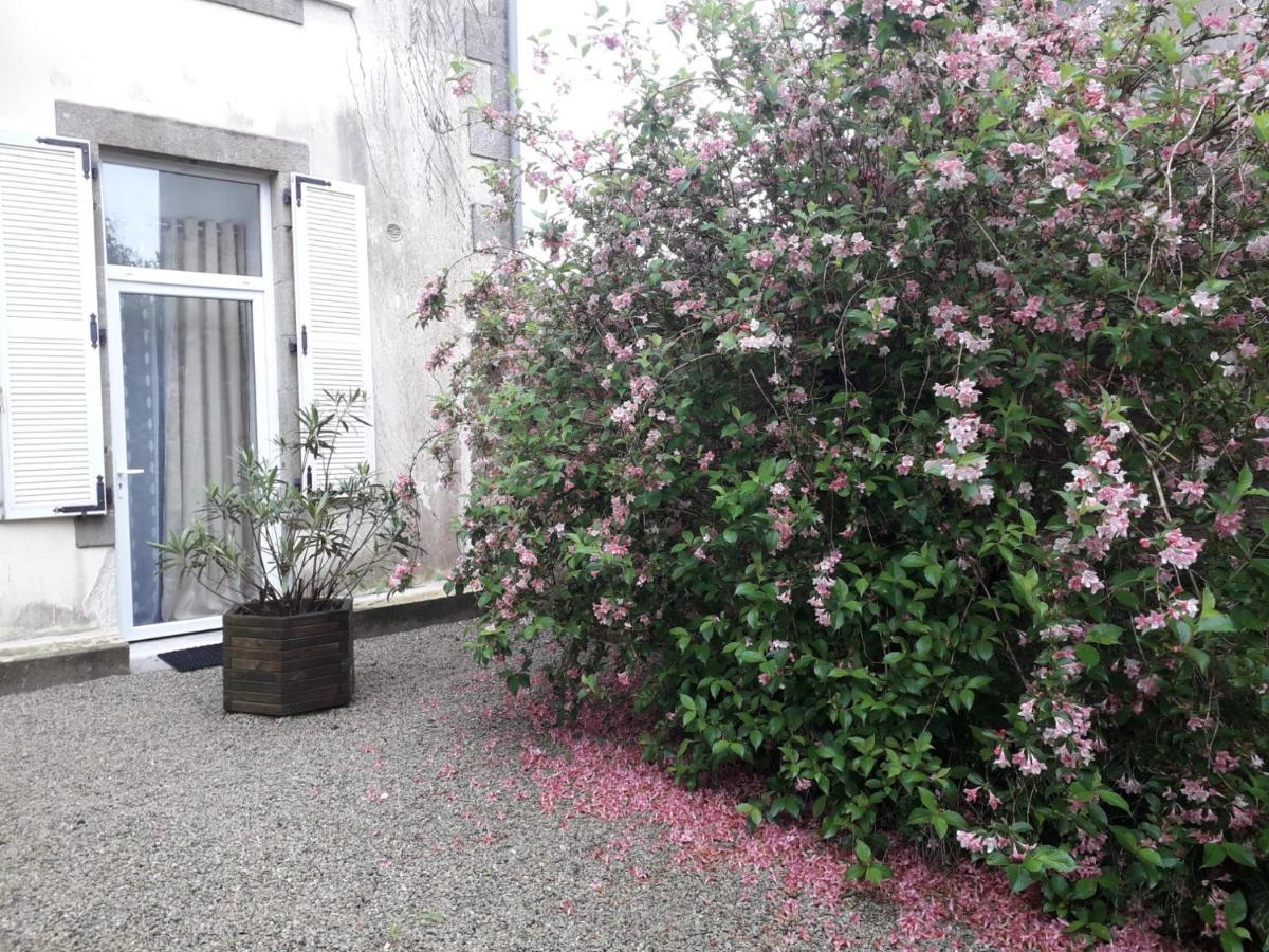 "Cosy Trendy & Chic" - Stayhome Quimper Exterior foto